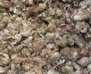 houblon_sec
